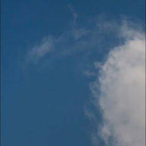 Meet your Posher, Callie